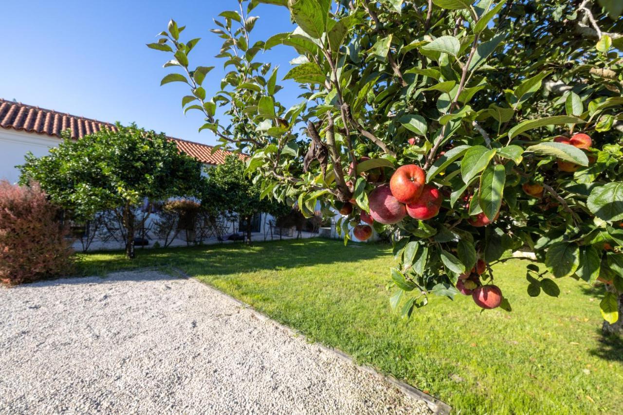 Casa Da Lagoa E Forja - Turismo Rural Мира Екстериор снимка